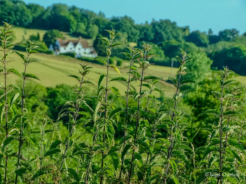Little Park Farm